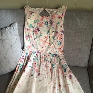 NWT Lauren Conrad Floral Dress